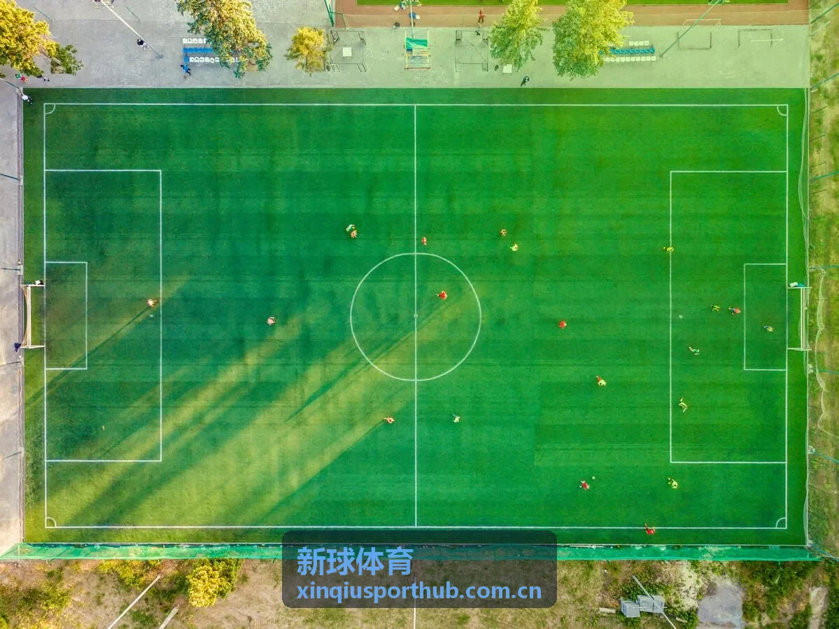 新球体育用户头像
